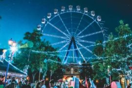 black-and-white-ferris-wheel-1782146